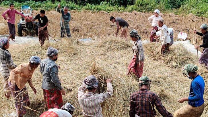 পাহাড়ে ‘শ্রম বিনিময়’ প্রথায় গোলায় উঠছে ধান