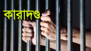 সাত বছরের শিশুকে ধর্ষণ : যুবকের যাবজ্জীবন কারাদণ্ড