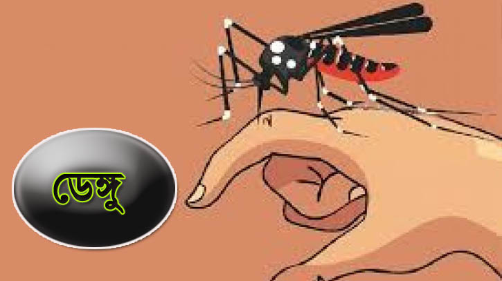 ডেঙ্গুতে ৮ জনের মৃত্যু, একদিনেই হাসপাতালে ভর্তি ২০৩৬