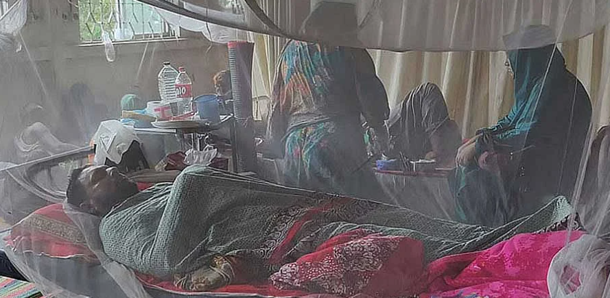 ডেঙ্গু: আরও ৬ জনের মৃত্যু, হাসপাতালে ভর্তি ১৬০৮