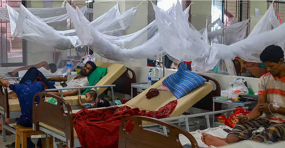 ডেঙ্গু: আরও দুজনের মৃত্যু, হাসপাতালে ১,২৩২