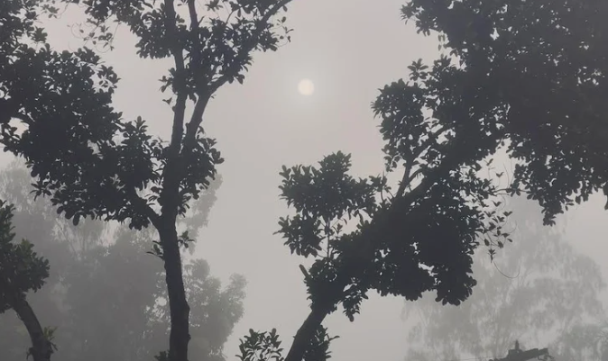 পঞ্চগড়ে তাপমাত্রা নেমেছে ১৭ ডিগ্রিতে, বাড়ছে শীতের অনুভূতি