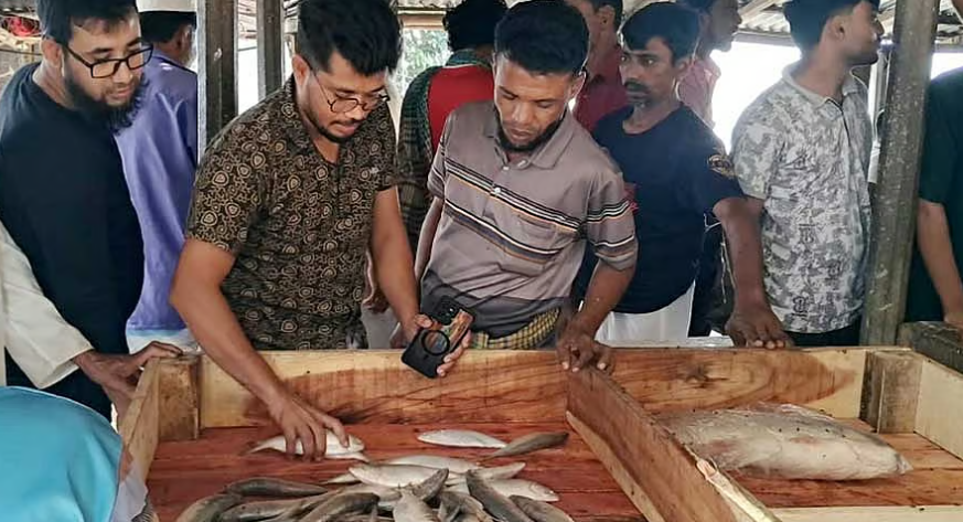 ২২ দিন পর পদ্মা-মেঘনায় মাছ ধরা শুরু, সরগরম চাঁদপুরের মাছ ঘাট